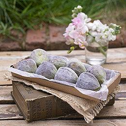 《刺客信条：幻景》进场压盘 使用D加密技术